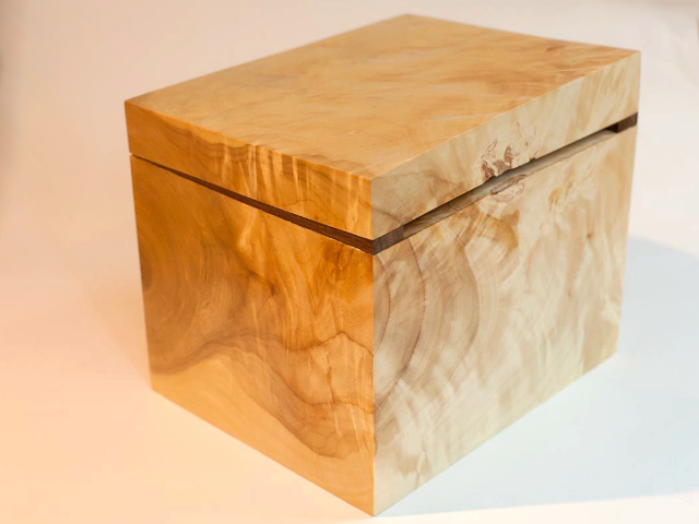 green poplar box